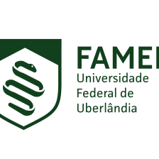  Versão verde escuro sigla horizontal